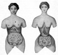 /album/photogallery/old-school-waist-train-results-jpg/